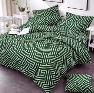 Постельное белье бязь люкс Лабиринт Green Евро