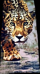 Полотенце пляжное Леопард голубое велюр/махра