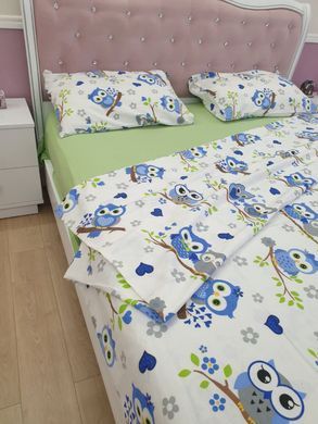 Постільна білизна із фланелі Совушки блакитне Євро