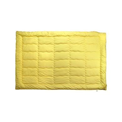 Демісезонне силіконове ковдра Aroma Therapy в мікрофібрі 140х205