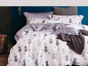 Постельное белье бязь Котолапки Евро