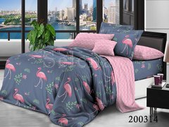 Комплект постельного белья Фламинго Розовый из ранфорс Семейный