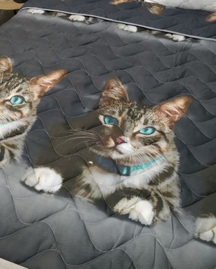 Постільна білизна з полікотону Муркотики Сімейний